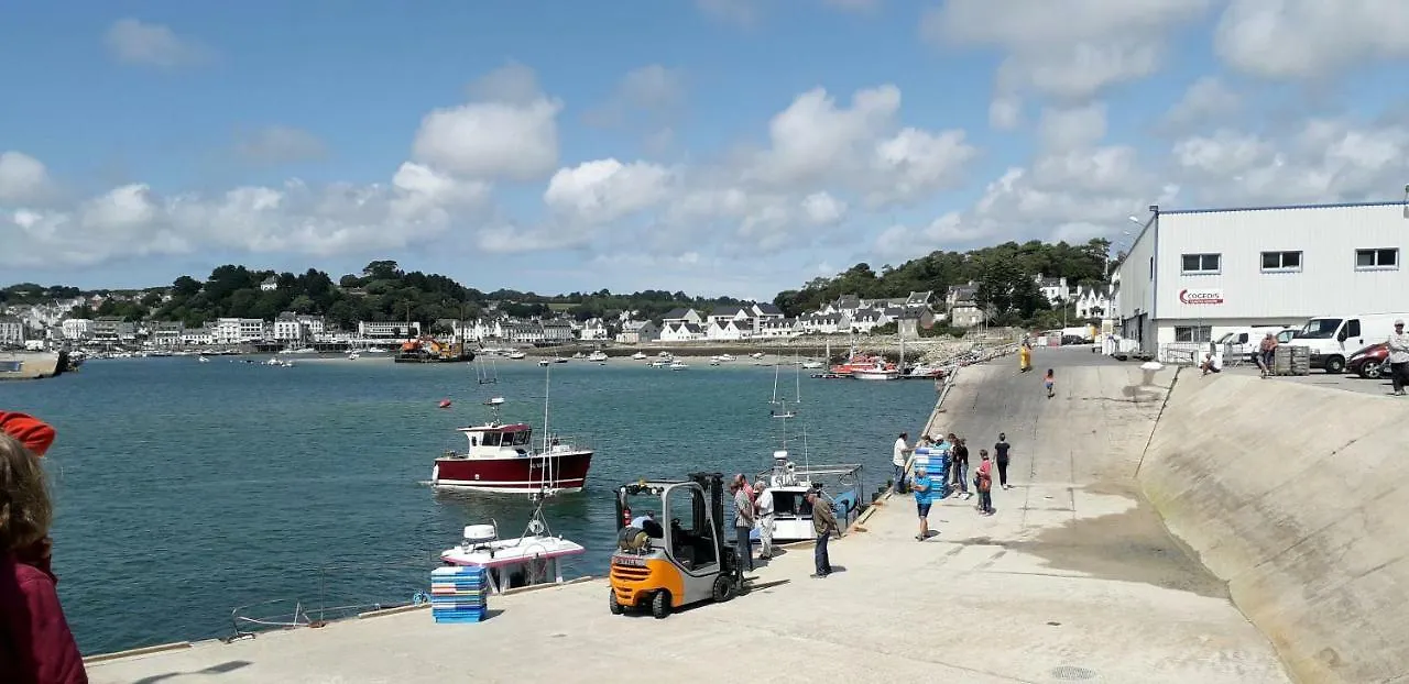 Au Calme A 10Mn Des Baies De Douarnenez Et Audierne Avec Cuisine A Disposition Mahalon France